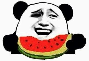 直男吃瓜群众视频,揭秘娱乐圈幕后故事