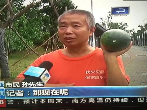 吃瓜群众热门事件盘点,揭秘网络热议背后的真相