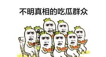不同的吃瓜群众,揭秘娱乐圈的喜怒哀乐