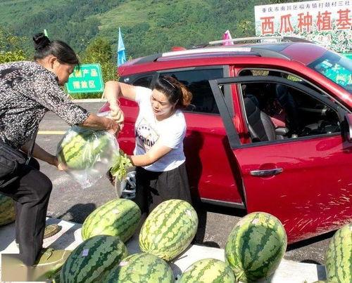 长安吃瓜群众,吃瓜群众的趣味生活剪影