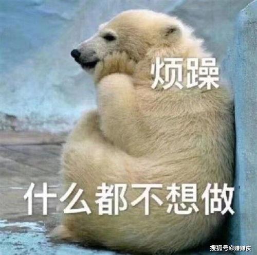 含蓄吃瓜群众图片,揭秘含蓄吃瓜群众的神秘世界